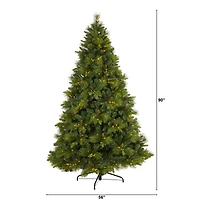 7.5ft. Pre-Lit North Carolina Mixed Pine Artificial Christmas Tree, Warm White LED Lights