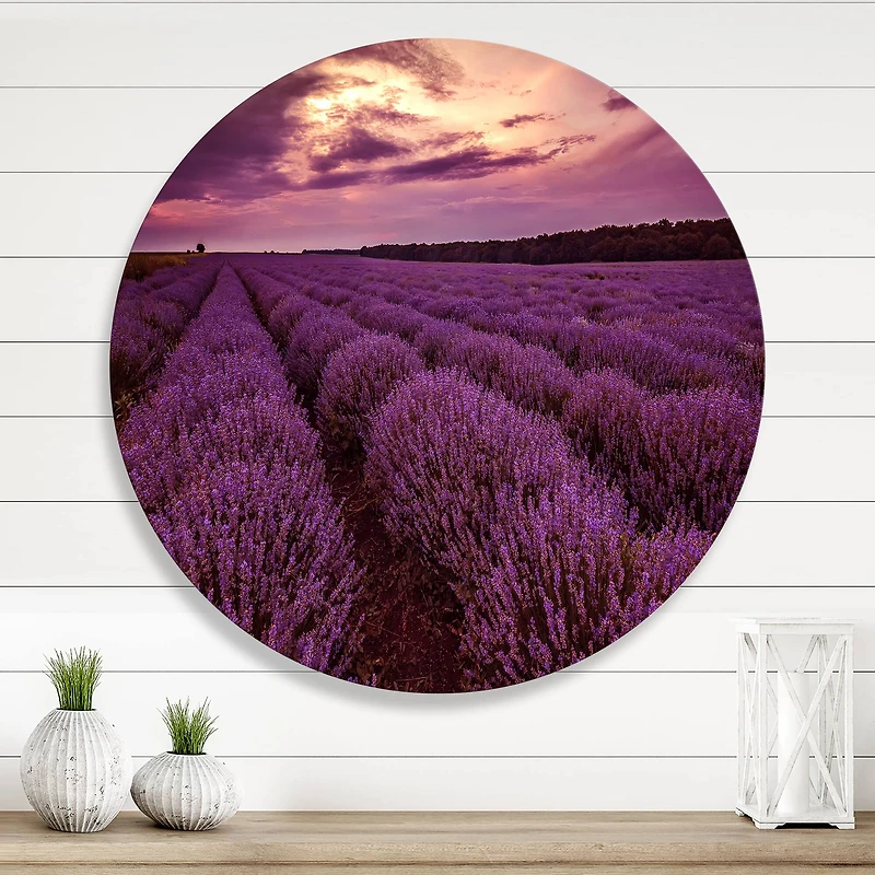 Designart - Sunrise & Dramatic Clouds Over Lavender Field III