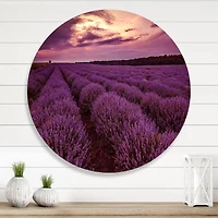 Designart - Sunrise & Dramatic Clouds Over Lavender Field III
