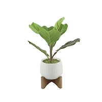 Flora Bunda® 12" Fiddle In 3.5" Mayan Ceramic Pot On Stand