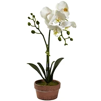 13" Orchid with Clay Vase, 4ct.