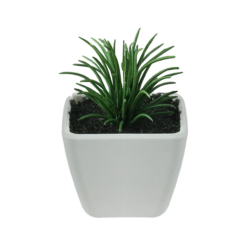 3.5" Mini Green Succulent Planter