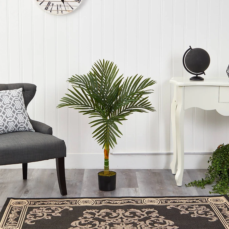 3ft. Potted Golden Cane Palm Tree