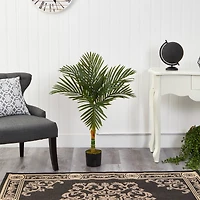 3ft. Potted Golden Cane Palm Tree