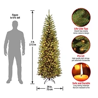 7ft. Pre-lit Kingswood Fir Pencil Artificial Christmas Tree, Clear Lights