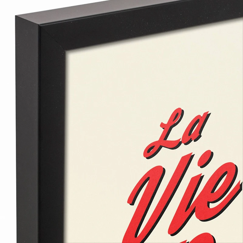 La Vie en Rose Canvas Wall Art in Black Frame