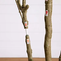 8ft. Artificial Minimalist Japanese Pieris Tree