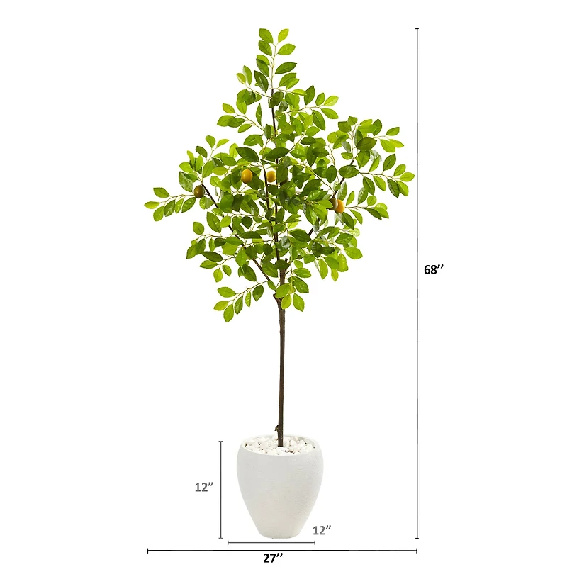 5.5ft. Lemon Tree in White Planter