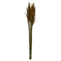 Plume Reed Preserved Bundle
