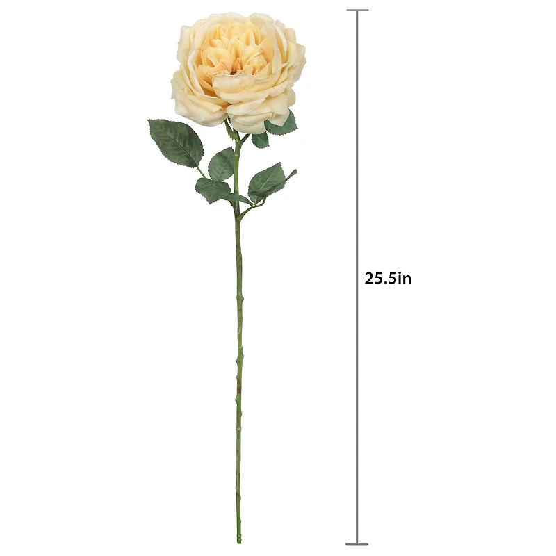 25.5" Yellow Rose Stem by Ashland®