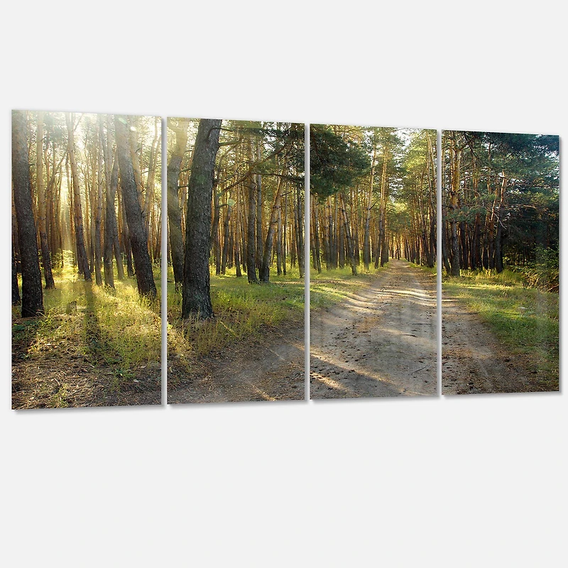 Designart - Road Through Green Pine Forest