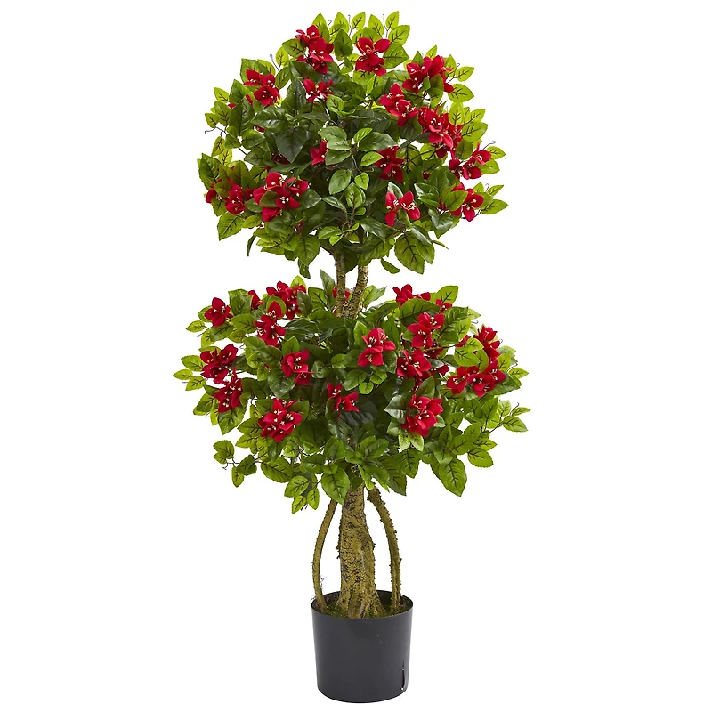 4ft. Potted Double Bougainvillea Topiary Tree