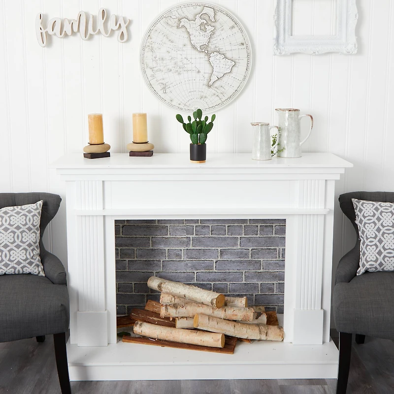 10'' Cactus Succulent Artificial Plant in Planter