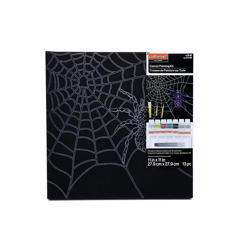 11" x 11" Spider Web Canvas Painting Kit by Craft Smart®