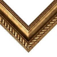 Frame USA Napolean Gold Single Image Picture Frame