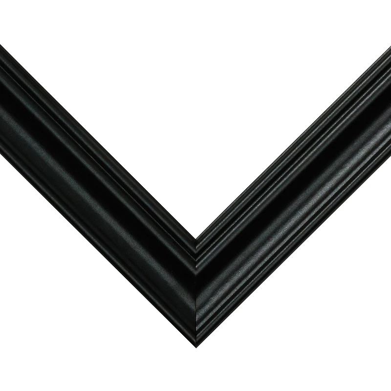 Frame USA Value Added Black Single Image Picture Frame