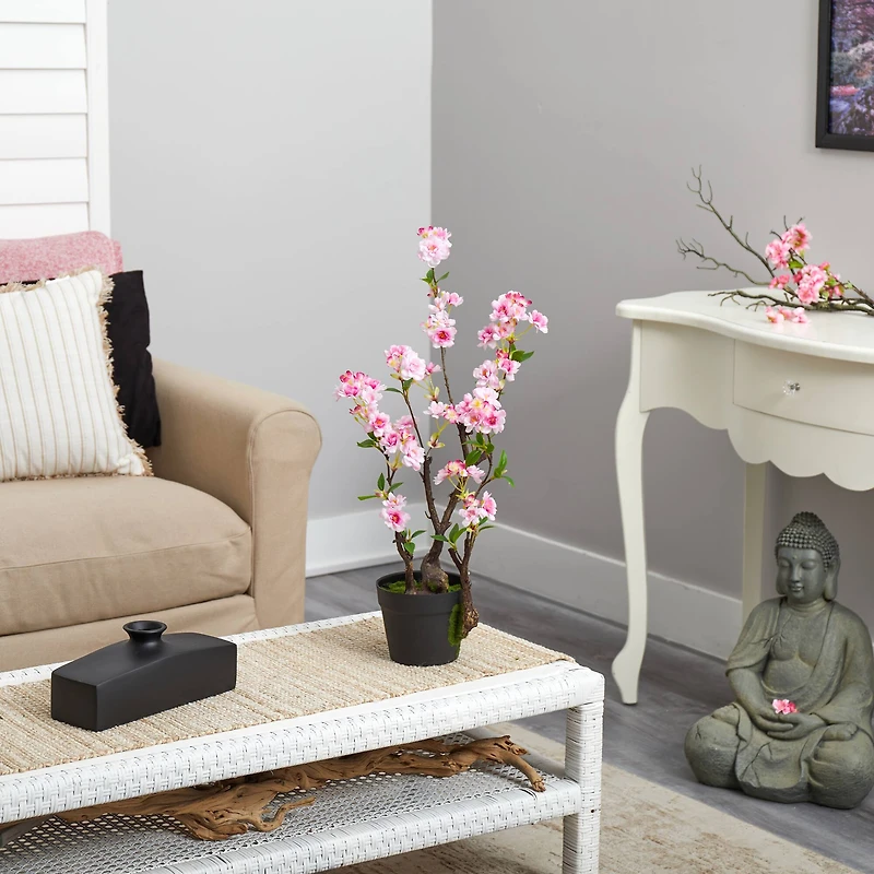 2.5ft. Potted Cherry Blossom Plant