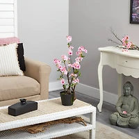 2.5ft. Potted Cherry Blossom Plant
