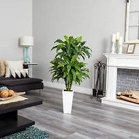 4ft. Marginatum in White Tower Vase