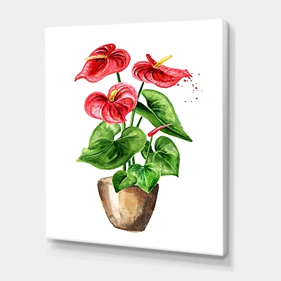 Designart - Anthurium Tailflower Or Flamingo Flower In The Pot