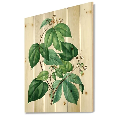 Designart - Vintage Green Leaves Plants III