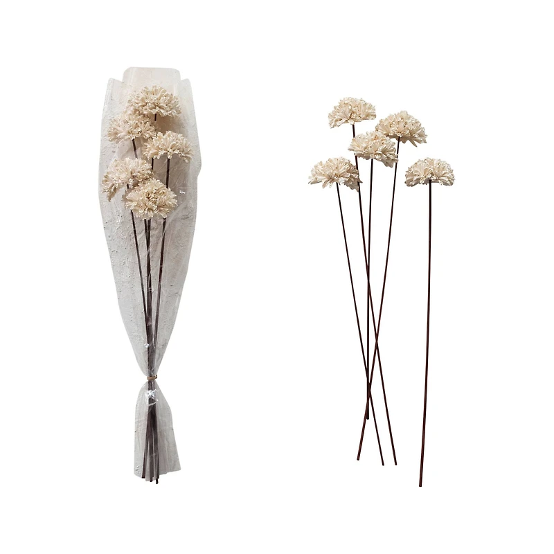 Hello Honey® 23.5" Dried Natural Sesame Flower Stems
