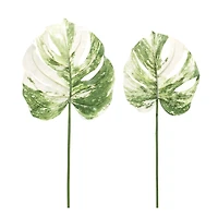 Light Variegated Philo Leaf Stems Set