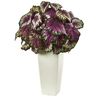 2.5ft. Purple Begonia in White Planter