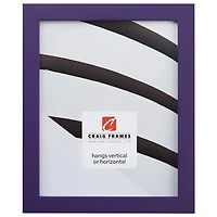 Craig Frames Confetti Grape Purple Picture Frame