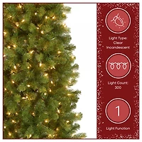 6.5 Ft. Pre-Lit Feel Real® Downswept Douglas Fir Pencil Slim Artificial Christmas Tree, Clear Lights