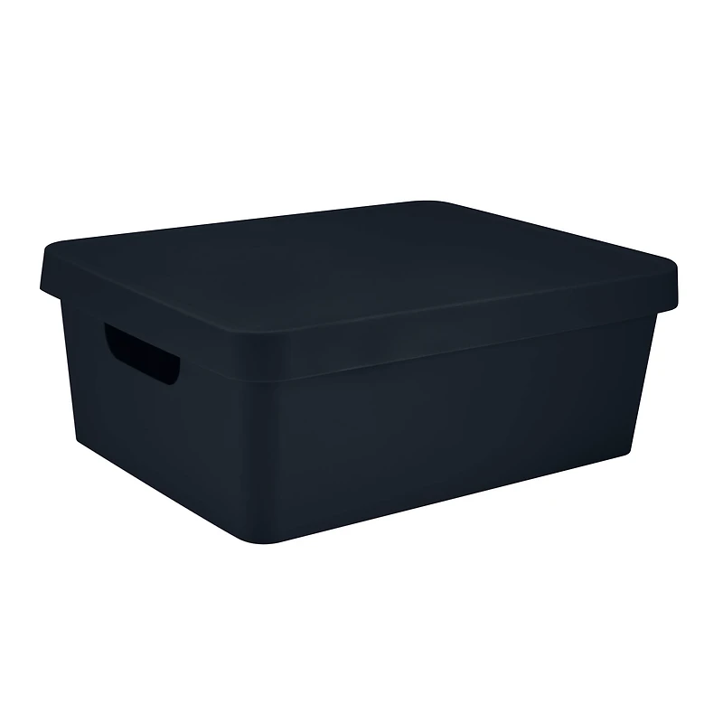 Simplify 14.5" Vinto Storage Box with Lid
