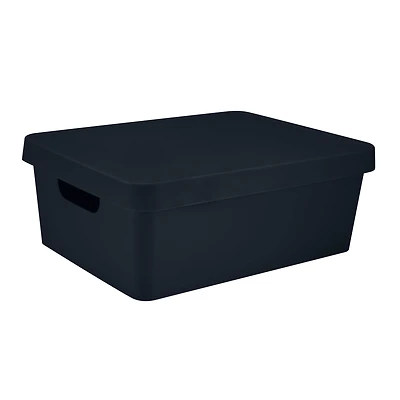 Simplify 14.5" Vinto Storage Box with Lid