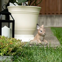 6" Curious Bunny Garden Décor