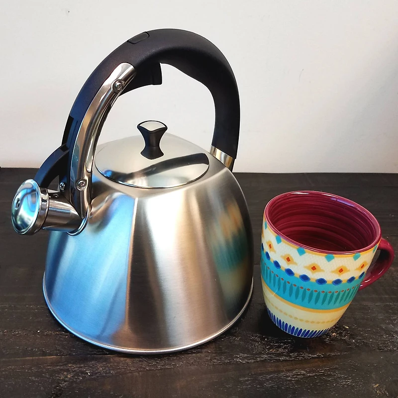 Mr. Coffee Belgrove 2.5qt. Brushed Stainless Steel Whistling Tea Kettle with Nylon Handle