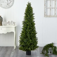 5.5ft. Potted Cypress Cone Topiary Tree