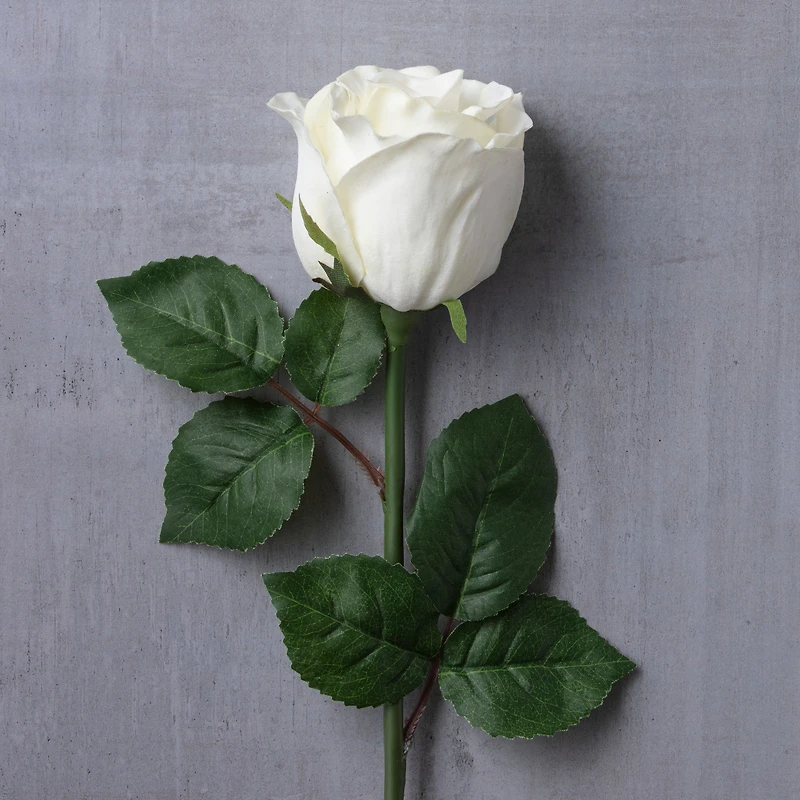 12 Pack: White Faux Rose by Ashland®