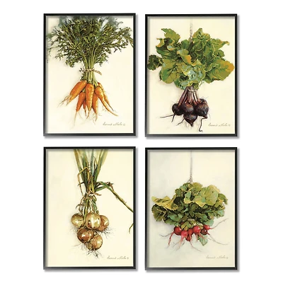 Stupell Industries Kitchen Vegetable Bunches Farm Radish Beets Carrots Onions Framed Wall Art