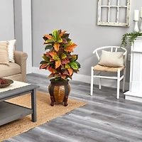 3.5ft. Croton Plant in Decorative Planter