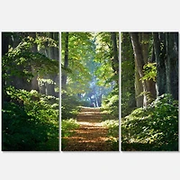 Designart - Bright Green Forest in Morning