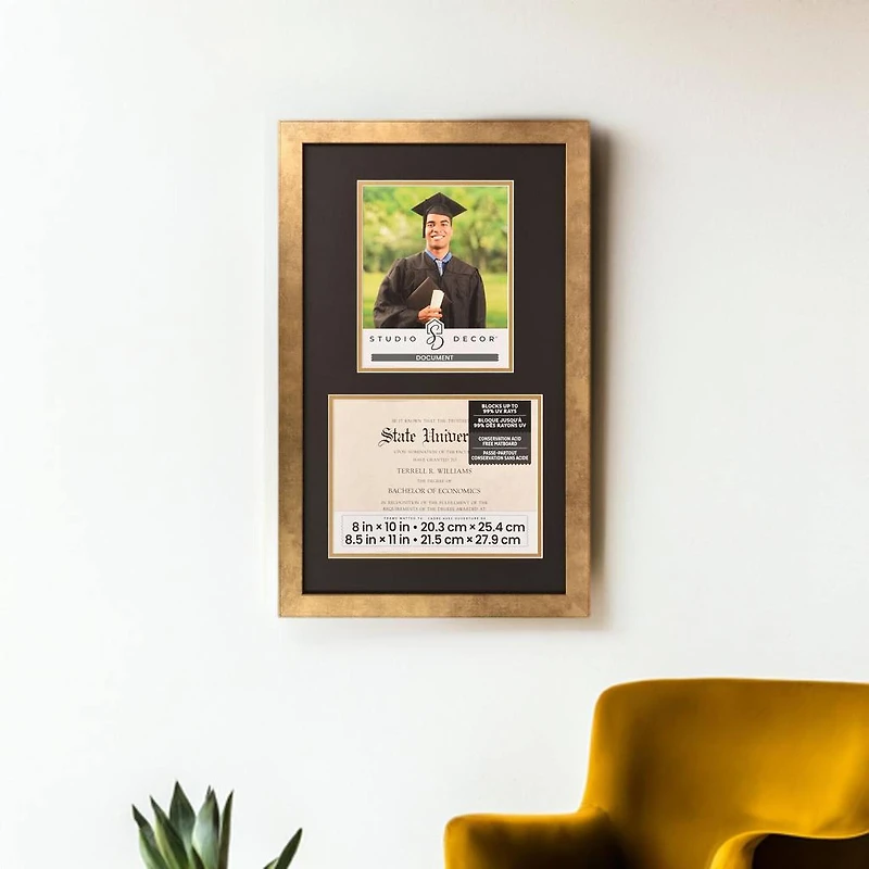 2 Opening 8.5" x 11" Gold Document Frame with Double Mat by Studio Décor®