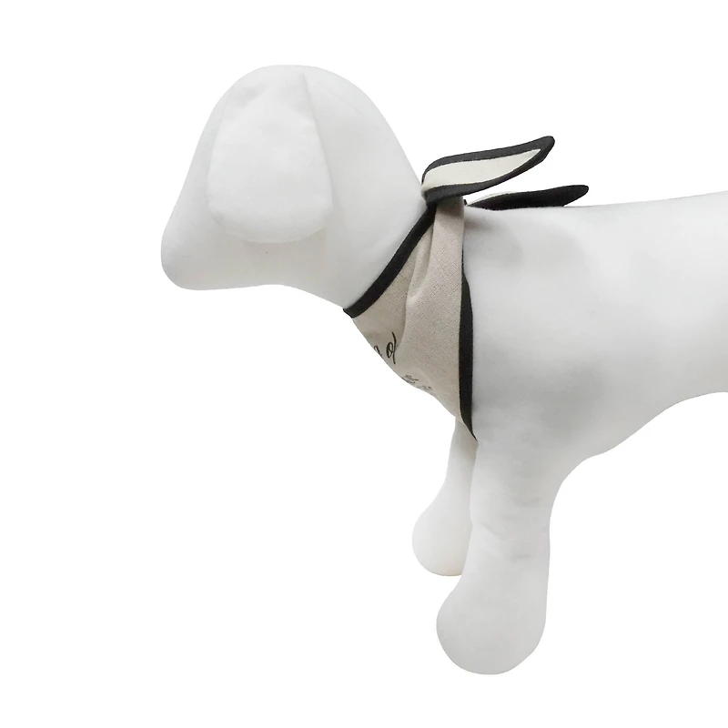 Best Furry Friends Dog of Honor Bandana