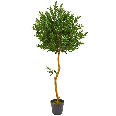 5ft. Potted Olive Topiary Tree