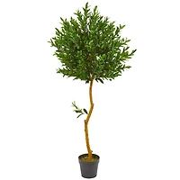 5ft. Potted Olive Topiary Tree