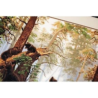 Luca-S Morning in a Pine Forest Counted Cross Stitch Kit