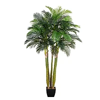 9.5ft. Potted Giant 5 Stalk Areca Palm Tree