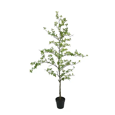 6ft. Potted Shady Lady Tree by Ashland®