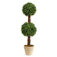 2ft. Boxwood Double Ball Topiary Tree in Cream Planter