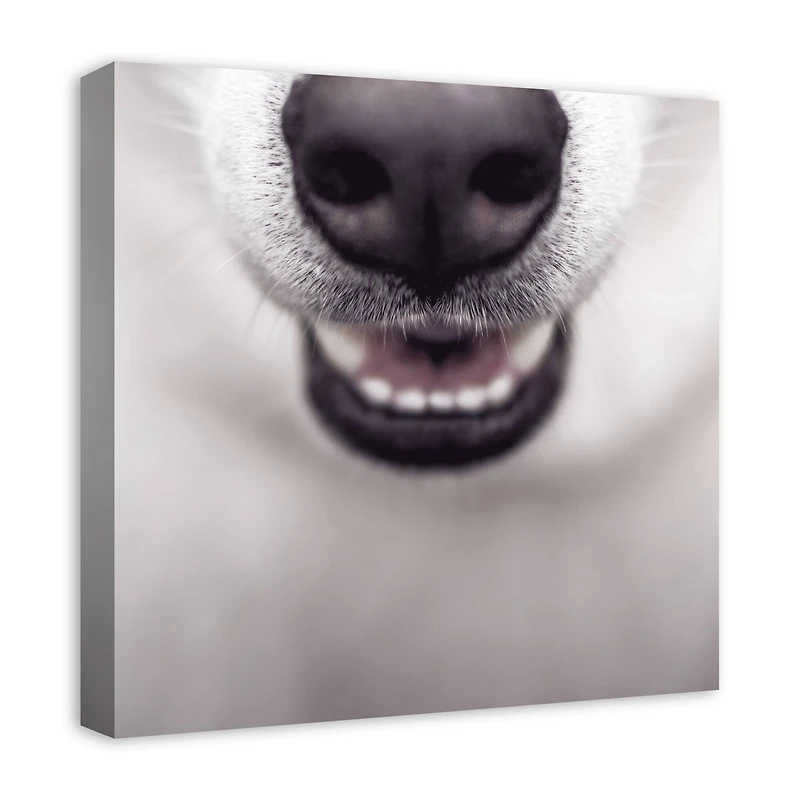 Dog Nose 20" x 20" Canvas Wall Art