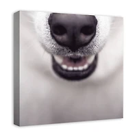 Dog Nose 20" x 20" Canvas Wall Art