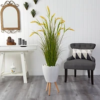 5ft. Wheat Grain Plant in Decorative White Planter